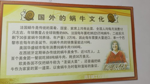 让小小蜗牛变金牛震动地球